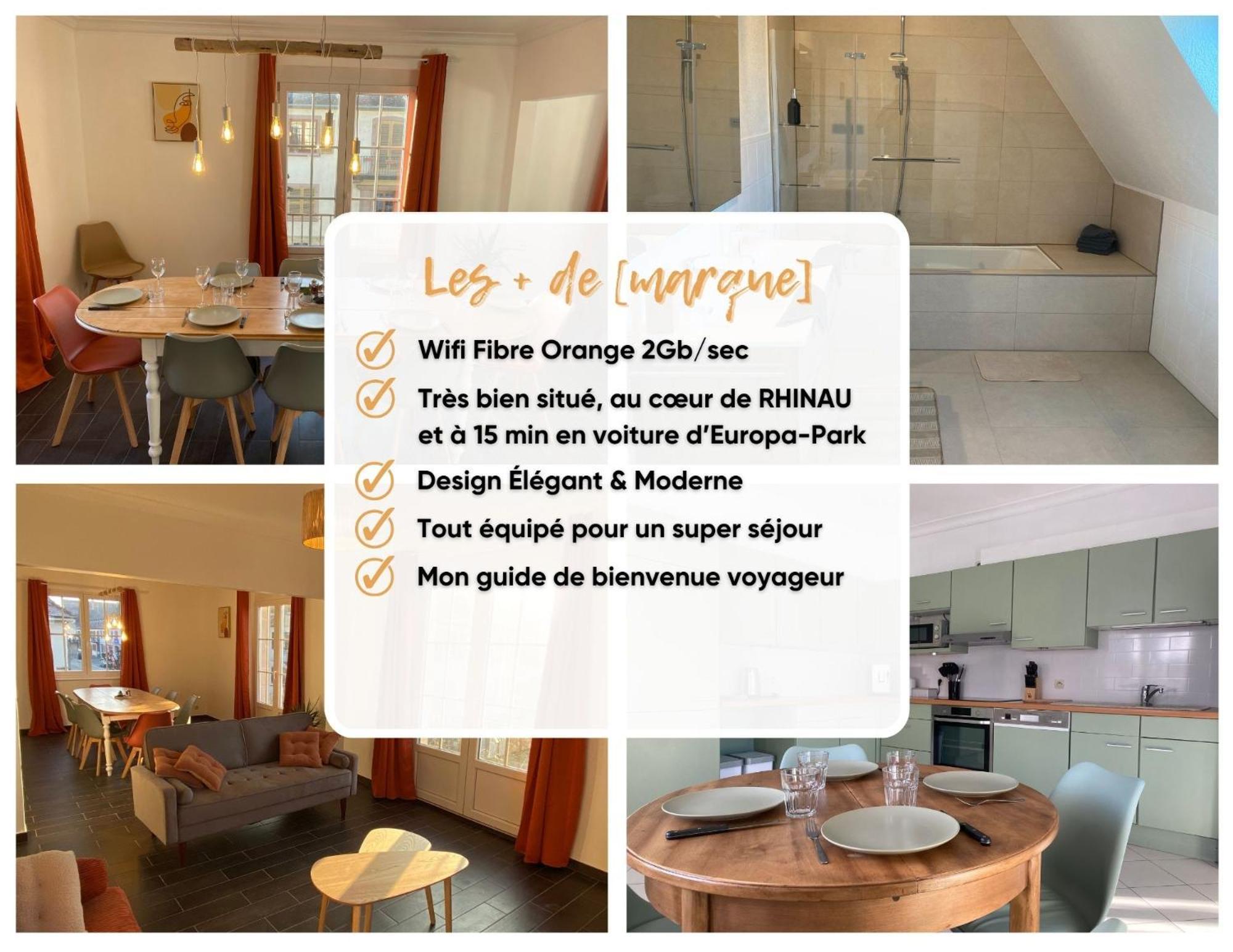 Appartement L'Echappee Belle Le Duplex Proche "Europa Park" à Rhinau Extérieur photo